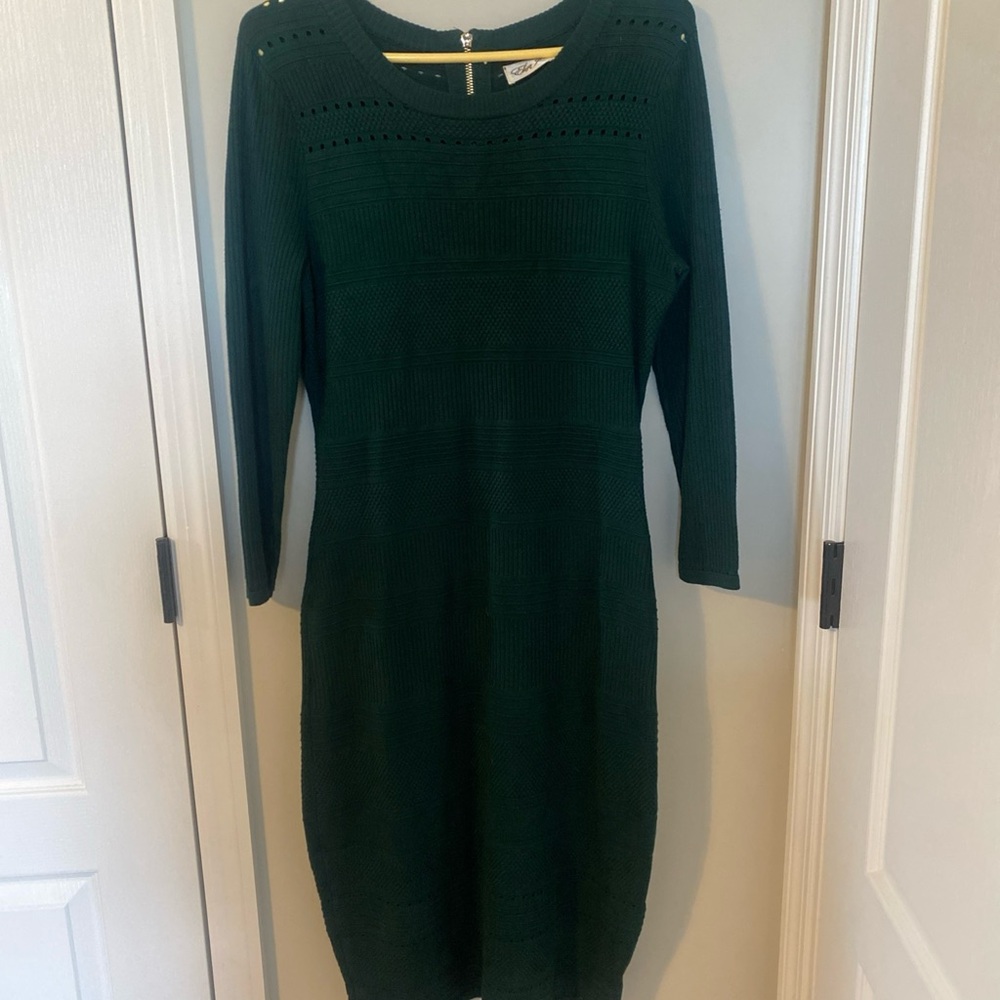 Eliza J Dark Green Long Sleeve Dress